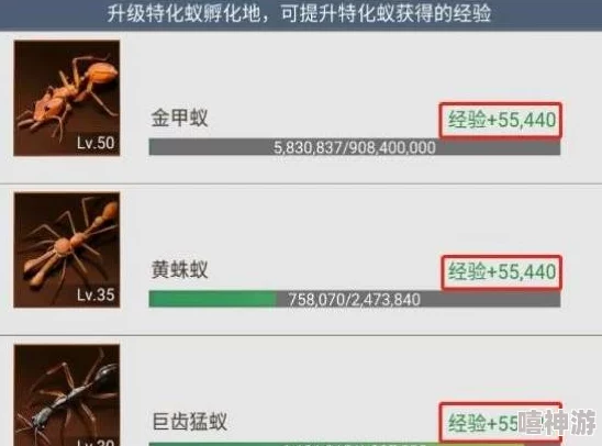 小小蚁国特化蚁升星全攻略：详解各星级所需材料及新升级策略