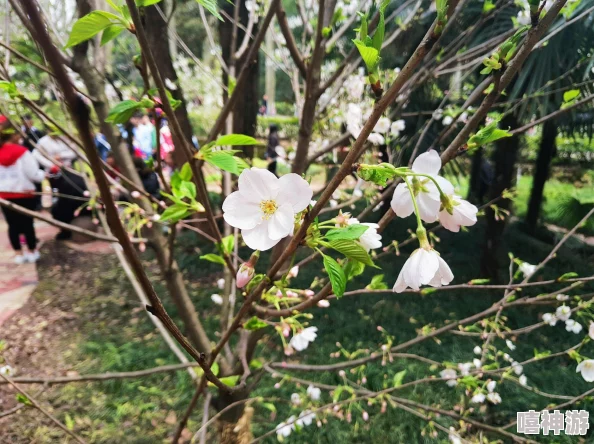 召唤的魅族是妈妈樱花动漫吗？最新动态揭示了更多关于角色设定和剧情发展的精彩内容！