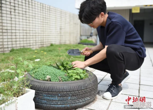 校园多肉文：新学期多肉植物养护技巧分享，助你在学习之余享受绿色生活乐趣！