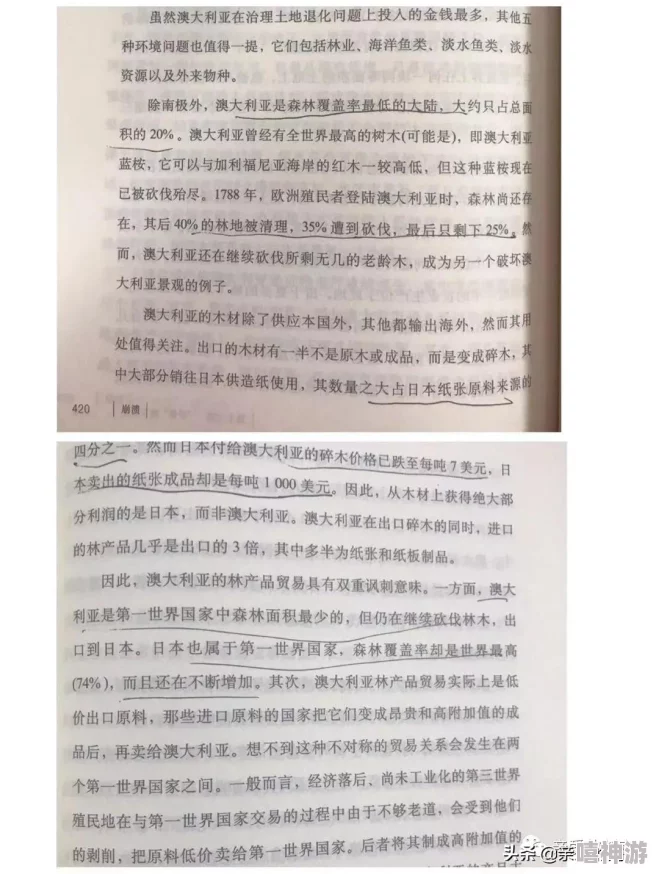 森林游戏崩溃问题排查指南