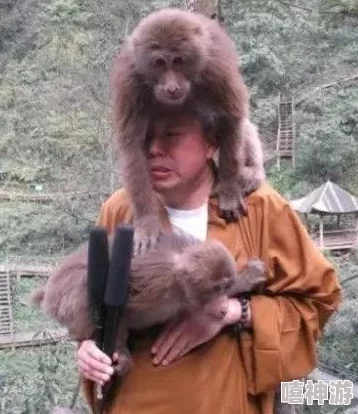 刀塔传奇：高效法师队搭配猴子阵容策略，解锁全新战斗模式