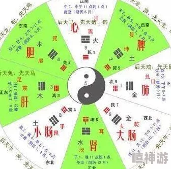 九阴真经手游深度攻略：二中两邪内功搭配与修炼技巧全解析