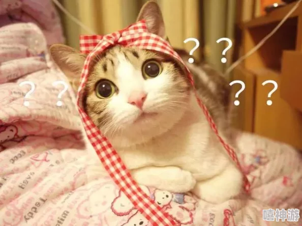 小森生活养猫攻略：喵咪喂饭技巧大揭秘，面对挑食猫咪总是不吃怎么办？