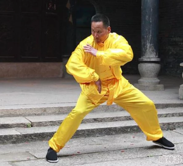 被两个男人插这可能是指一种情景或隐喻，描述一个人在情感或身体上受到双重压迫或关注