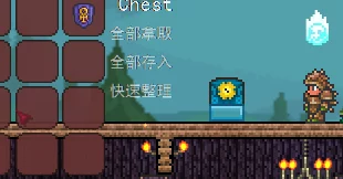泰拉瑞亚宝箱怪生成条件热带幻夜