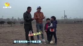 大肉大捧一进一出tp539cc童趣大冒险2019