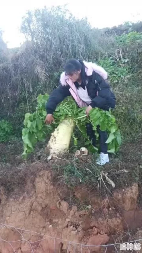 女生迈开腿拔萝卜领错结婚证嫁对郎