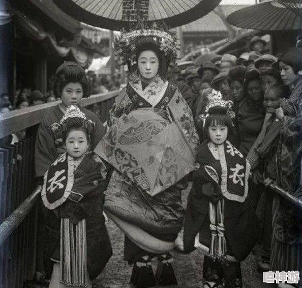 花魁日本艺伎文化的巅峰代表，探索其历史与现代演变
