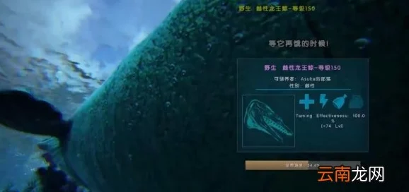 方舟生存进化攻略：详解龙王鲸驯服技巧与专属饲料配方