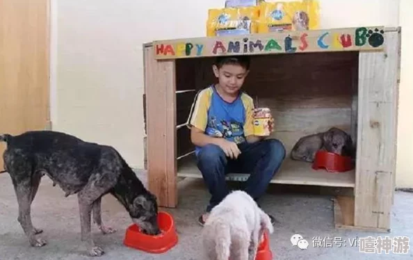 狗插人小区里一只流浪狗勇救落水儿童，感动无数市民纷纷领养流浪狗
