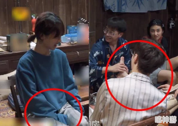 人与动物毛片MJ带你一起看综艺