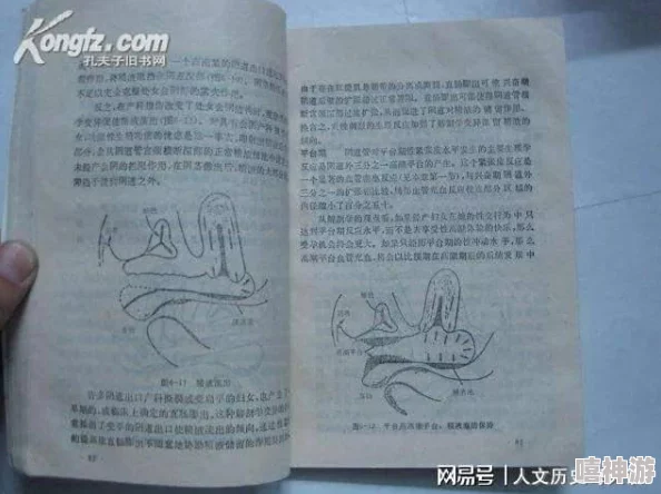 性的研究揭秘人类性行为的科学探索及其社会影响