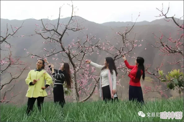 小村春色txt在线看春天是希望的象征让我们珍惜每一个美好的瞬间
