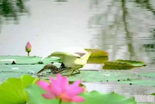 师尊在森林深处被藤蔓玩正能量满满师尊身心愉悦与自然和谐共生