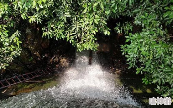 逼逼流水视频锦绣神州之奇游迹第二季探索美丽风景感受生活的精彩与希望
