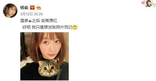 竹牙升以牙还牙片段车上近日，竹牙升在社交媒体上分享了他与粉丝互动的趣事，引发热议